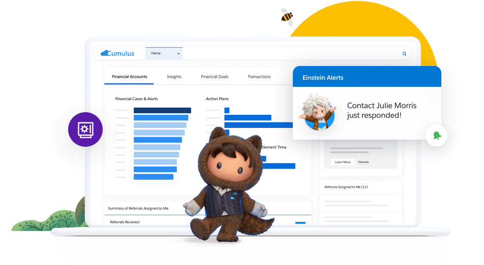 Salesforce financial illustration