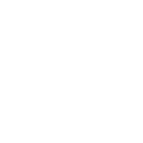 Agent icon
